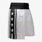 Classic Boxing Trunks