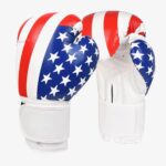 USA Flag Boxing Gloves