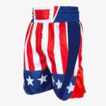 USA Boxing Shorts