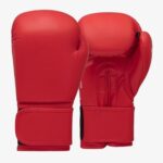 Red Professional Boxing Gloves