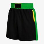 Boxing Professional Boxing Trunks