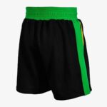 Boxing Professional Boxing Trunks - Image 2