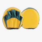Generic Curved Punching Mitts